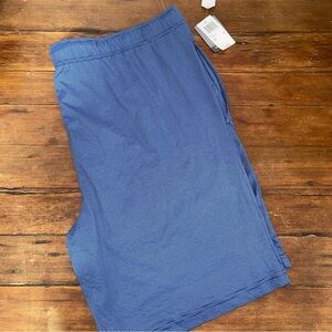 Van Heusen Blue Flat Front sleepwear Shorts